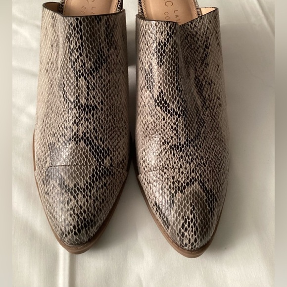 Lauren Conrad block heels pointed toes Mules - Picture 1 of 5